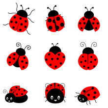 Cartoon Ladybug Wallpaper Free Stock Photo Public Domain Pictures