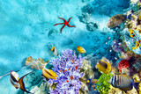 Underwater world with corals and tropical fish.