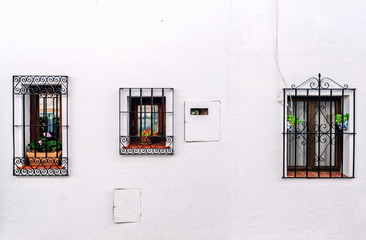 Wall Mural - Windows with steel lattice on a whitewashed wall