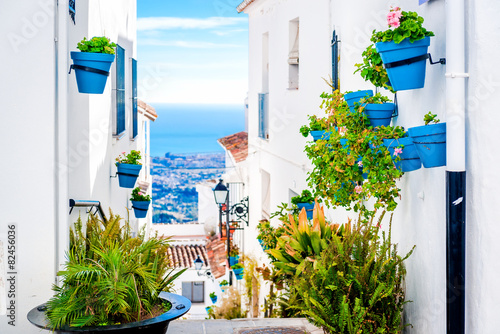 Fotografie, Obraz Picturesque street of Mijas. Andalusia. Spain