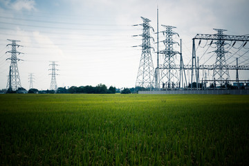 Canvas Print - High voltage towers