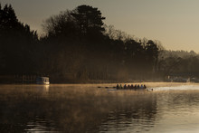 Dawn Rowers On The River Thames
