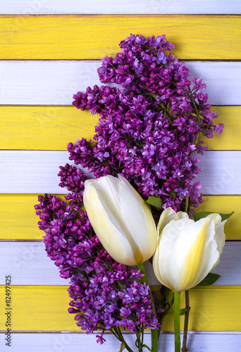 Naklejka dekoracyjna Two yellow tulips, lilac flowers and colored wooden background