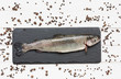 Trout fish on slate board with peppercorns