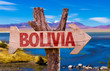 Bolivia wooden sign with Laguna Corada background