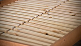 Fototapeta  - Wooden slats bed