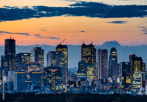 Beautiful Silhouette of Tokyo Skyline at Twilight Poster