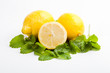 frische Zitronen mit duftender Zitronenmelisse