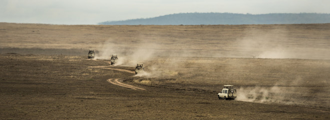 safari jeeps crossing serengeti, tanzania, africa