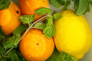 Wall Mural - Tangerines, lemons and mint in water