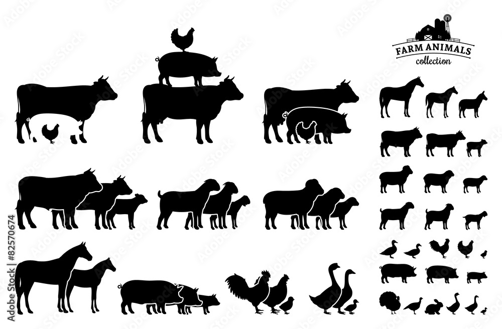 Vector Farm Animals Collection Isolated on White Stock Vector | Adobe Stock