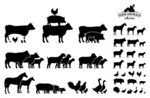 Vector Farm Animals Collection Isolated On White