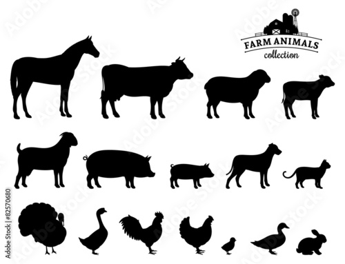 Foto Vector Farm Animals Silhouettes Isolated on White