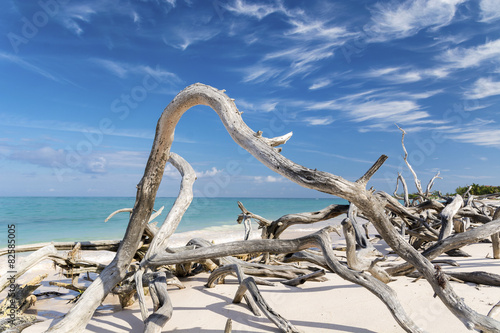 Naklejka dekoracyjna Insel Cayo Jutias