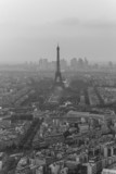 Fototapeta Paryż - the eiffel tower