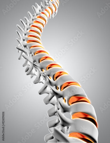 Obraz w ramie 3D spine with discs highlighted