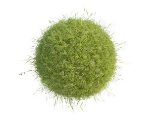 grass sphere with plants isolated on white background