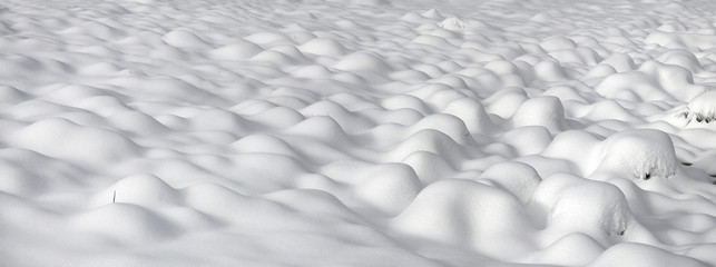 Alpine is the climate