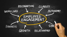 Employee Engagement Diagram Hand Drawing On Chalkboard