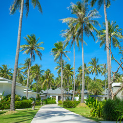 Wall Mural - Beautiful tropical resort bungalows under the palm trees