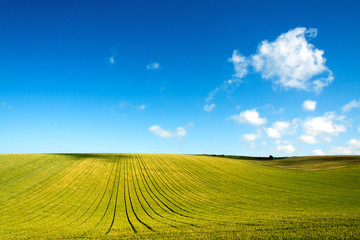  green field and blue sky with clouds in Picardy, France, Europe
