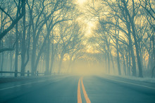 Empty road with yellow lines on foggy morning 