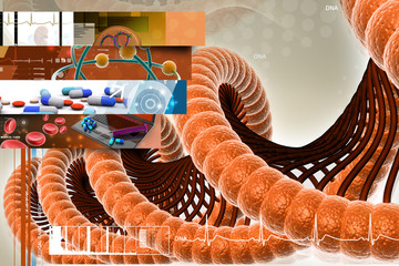 Wall Mural - Digital illustration of DNA in colour background