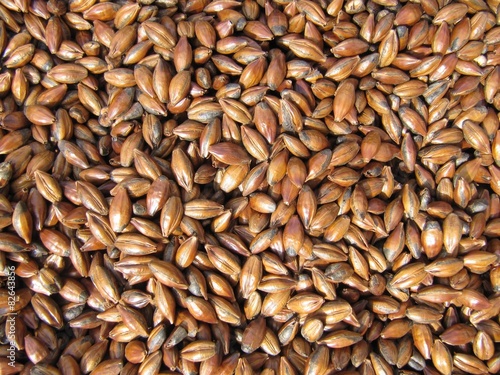 Semillas De Cebada Tostada Roasted Barley Comprar Esta Foto De Stock Y Explorar Imagenes Similares En Adobe Stock Adobe Stock