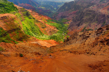 Poster - Stunning view into Waimea Canyon, Kauai