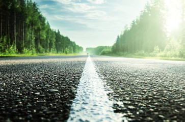 Canvas Print - road in sunny forest (shallow DOF)