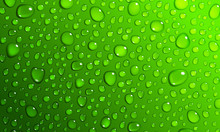 Green Background Of Water Drops