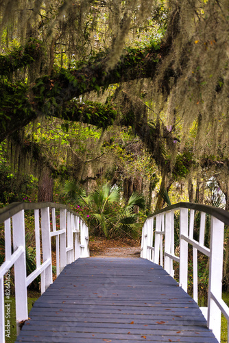 Naklejka dekoracyjna Magnolia Gardens Bridge 2