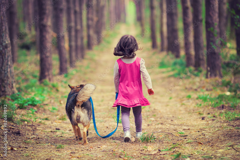 Little girl walking with dog in the forest back to camera Stock  