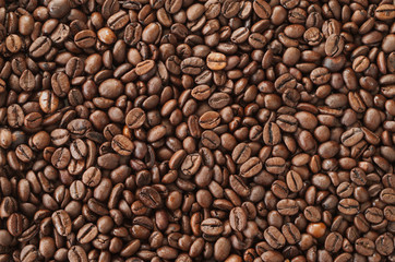 Plakat jedzenie arabica ziarno kawa kawiarnia