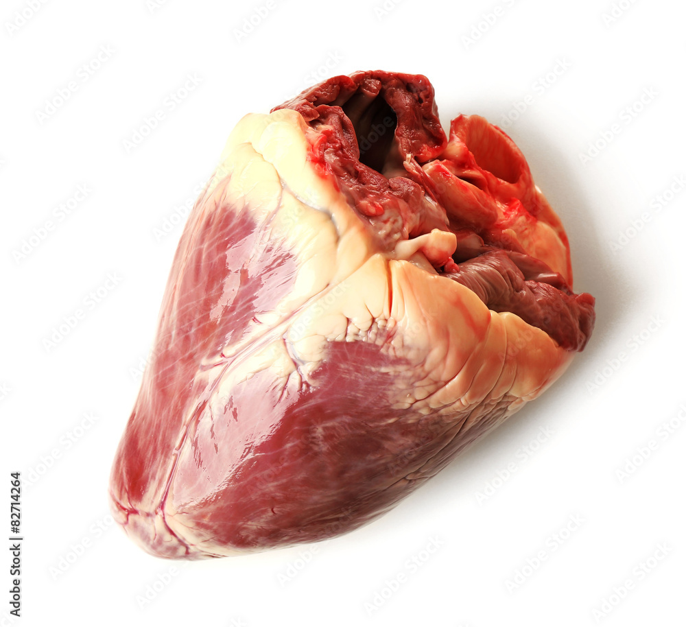Raw animal heart isolated on white