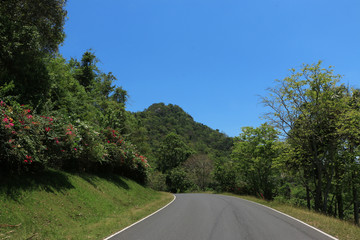 the road to the nature