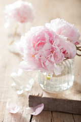 Fotomurales - beautiful pink peony flowers bouquet in vase
