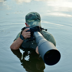 Wall Mural - wildlife photographer outdoor, standing in the water
