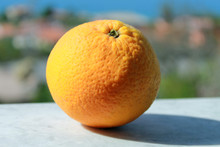 Arancia Clementina