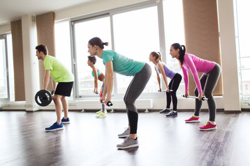 Wall Mural - group of people exercising with barbell in gym