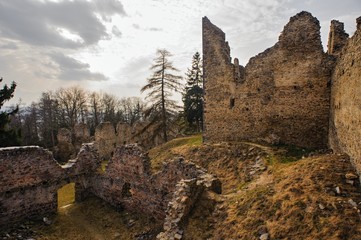 Ruins of the old castle