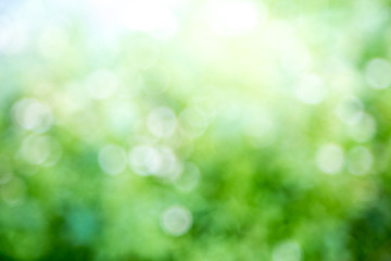 Natural green blurred background.