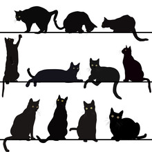 Set Of Cats Silhouettes