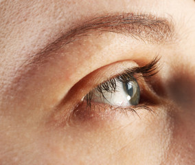 Wall Mural - Female eye, macro view