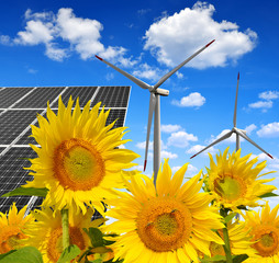 Wall Mural - Solar energy panels with wind turbines in sunflower field