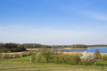 Beautiful spring landscape