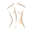 Close up woman back drawn in vector lines