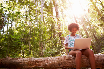 Woman Sits On Tree Trunk In Forest Using Laptop Computer