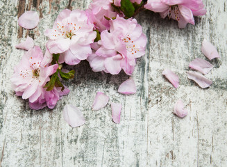 Sticker - Sakura blossom on a old wooden background