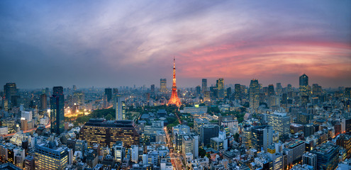 Fototapete - Tokyo Tower in Japan